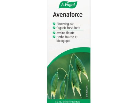 Avenaforce Teinture For Discount