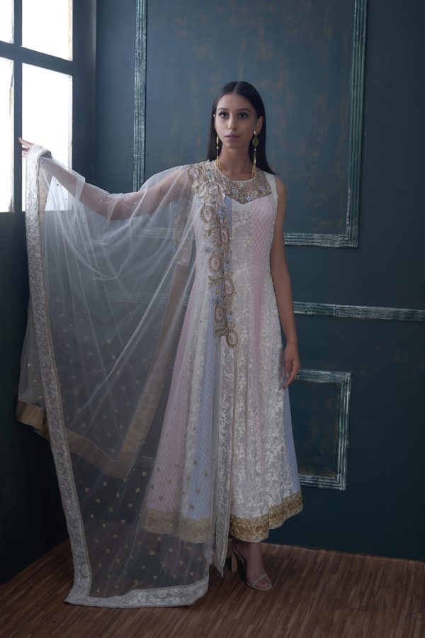 Chikankari Anarkali with Blue and pink shading Supply