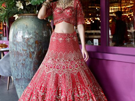 Charlotte  Red Raw Silk Zardosi Embroidered Bridal Lehenga Set For Discount