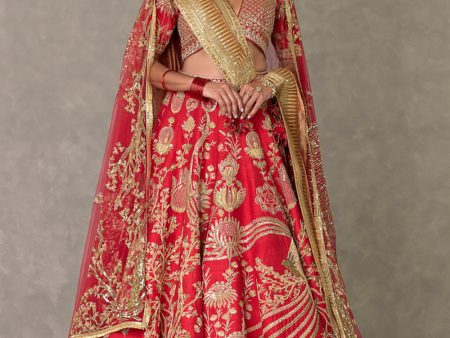 Red  Bagh-E-Bahar  Lehenga Set Supply