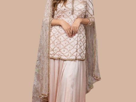 Kurta With Skirt And Dupatta Hot on Sale