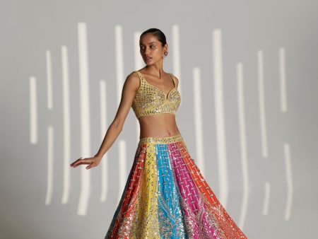 Multi Panel Mirrorwork Lehenga Set Online now