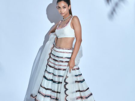 Hand-embroidered Corded White Blouse paired with Hand-embroidered Skirt and Organza Dupatta Supply