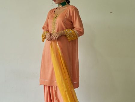 Aadoo Lahoriya Chola with Peshwa Salwar and Dupatta Online Hot Sale