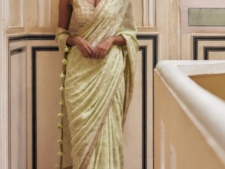 Mint Gold Print Saree With Embroidered Blouse For Discount