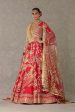 Red  Bagh-E-Bahar  Lehenga Set Supply