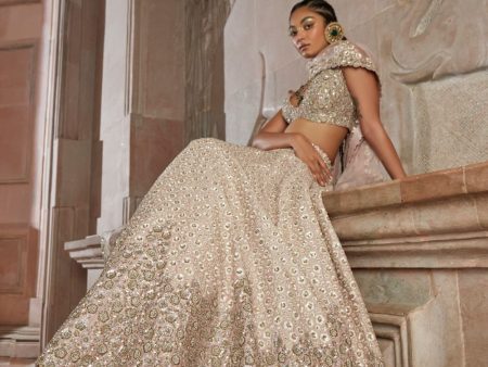 Taara Bloom Lehenga Hot on Sale