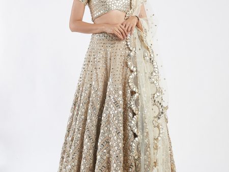 Beige And Golden Embelished  Lehenga Set Hot on Sale