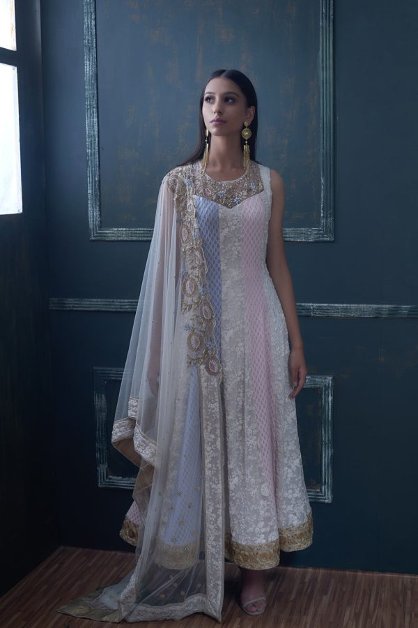 Chikankari Anarkali with Blue and pink shading Supply