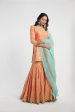 Orange And Blue Sharara Set Supply