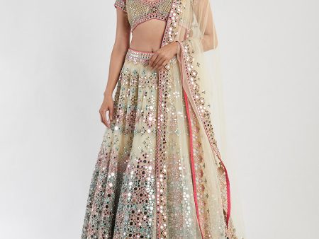 Multicolored Lehenga Set Online Sale