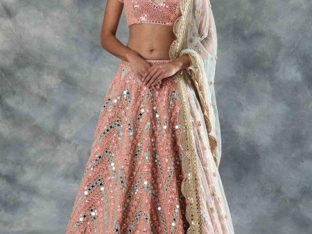 Multicolored Lehenga Set Supply