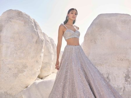 Coffee Silver Lehenga Set Online