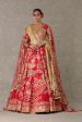 Red  Bagh-E-Bahar  Lehenga Set Supply