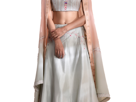 Aasmani Bageecha lehenga set Fashion