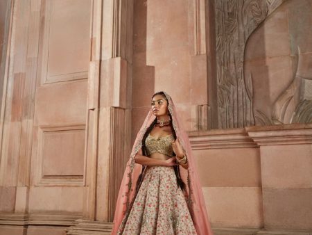 Nemali lata lehenga Online Hot Sale