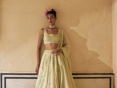 Mint Lehenga Paired With Blouse & Dupatta Hot on Sale