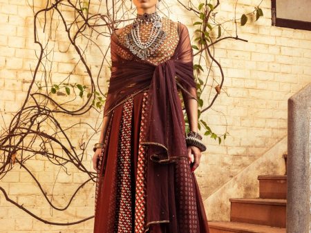 Brown Printed  & Embroidered Skirt set For Cheap