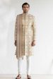 Afraz Sherwani on Sale