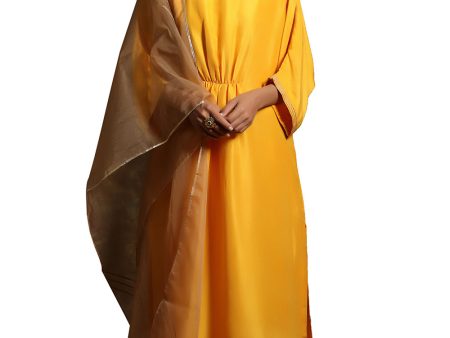 Aamras Boat Neck Chola With Jama And Organza Odhni Discount