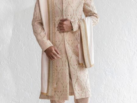 Farheen Sherwani For Discount